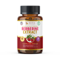 Xeta Daily Premium Berberine Extract 1200mg | Cognitive & Digestive Support | 30-Day Supply